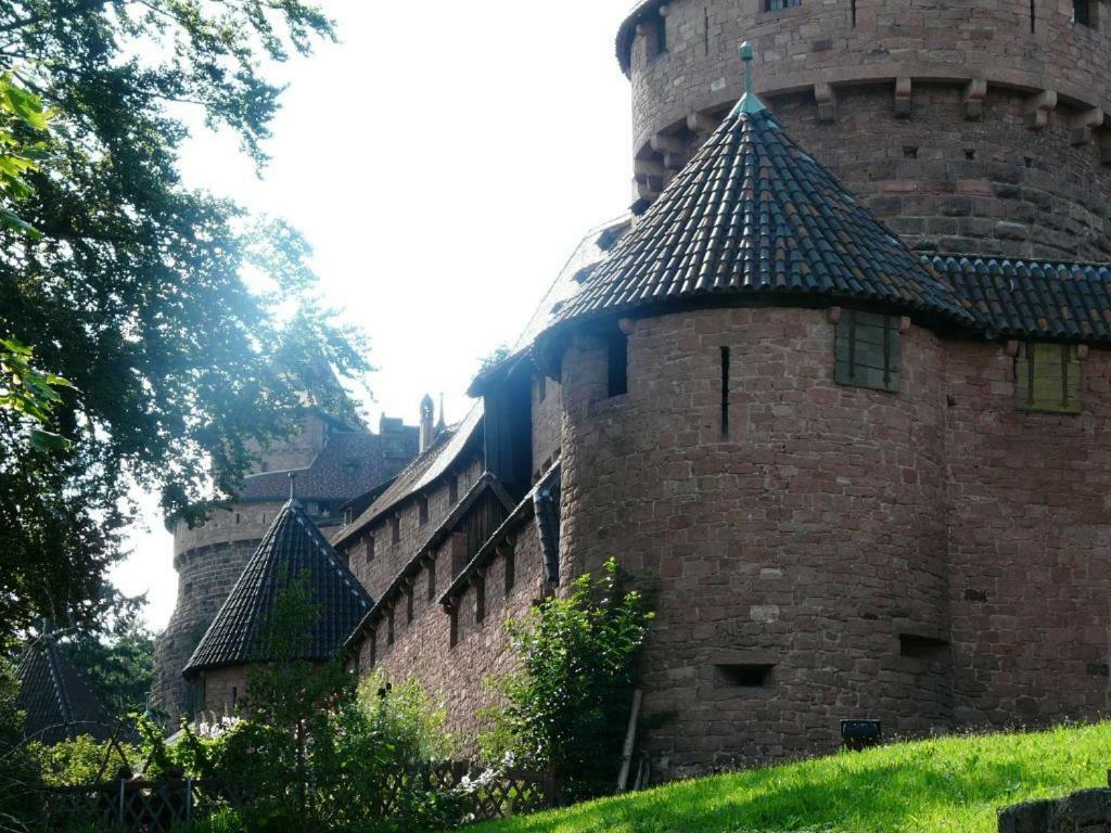 Ferienwohnung Ferien im Elsass Artolsheim Exterior foto
